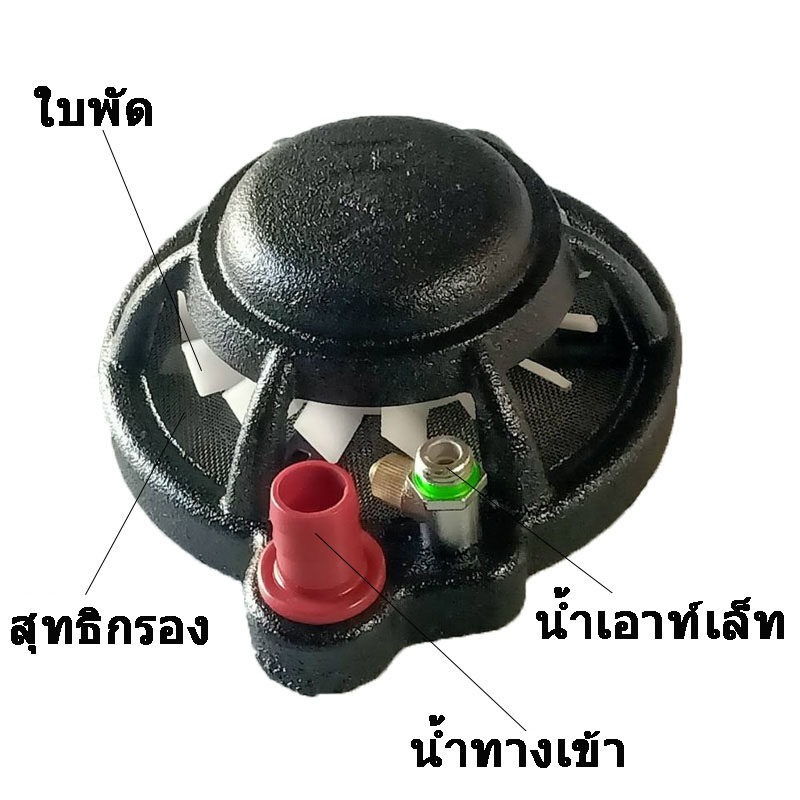 bg