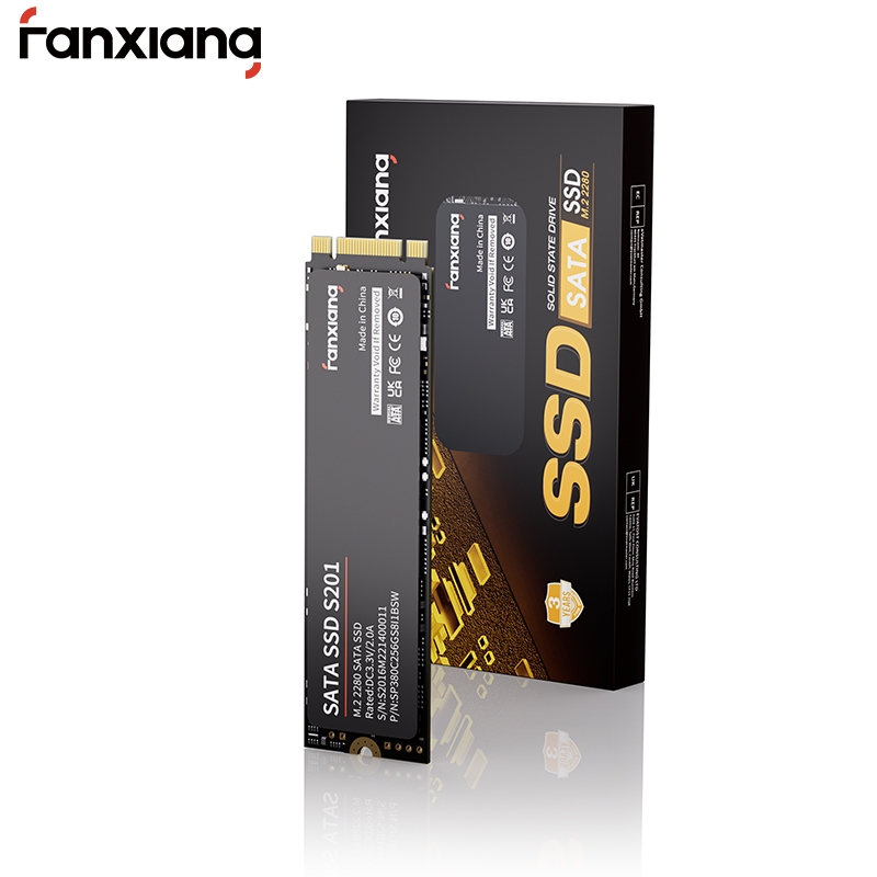 Fanxiang S201 NGFF M.2 SATA SSD 256GB 512GB 1TB TLC 550MB/s Soild Sata Drive for Laptop PC