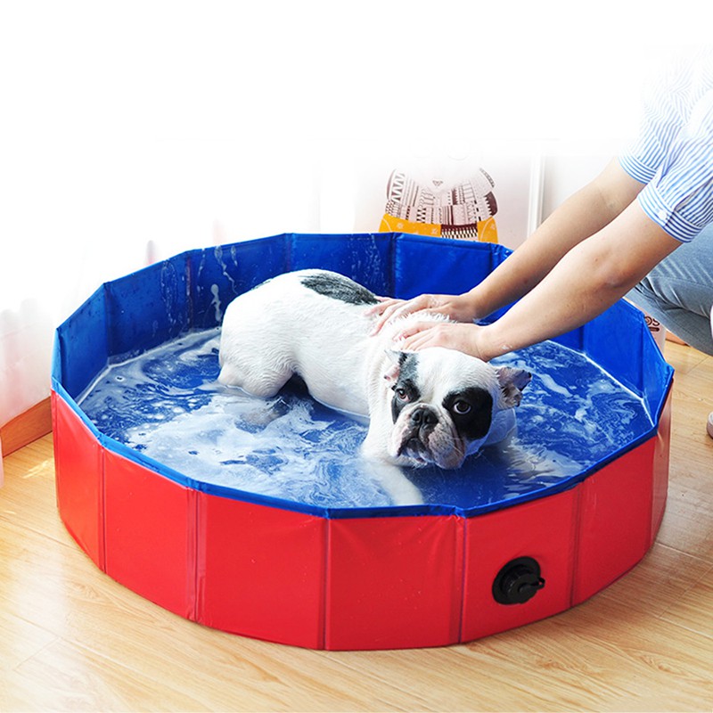 small dog bath tub