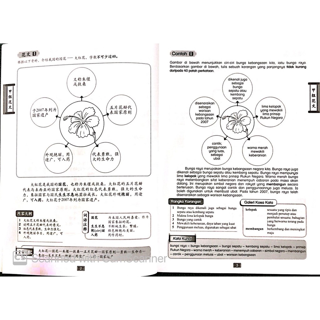 166 Chinese Language Writing Melayu Upsr Sjk C Shopee Singapore