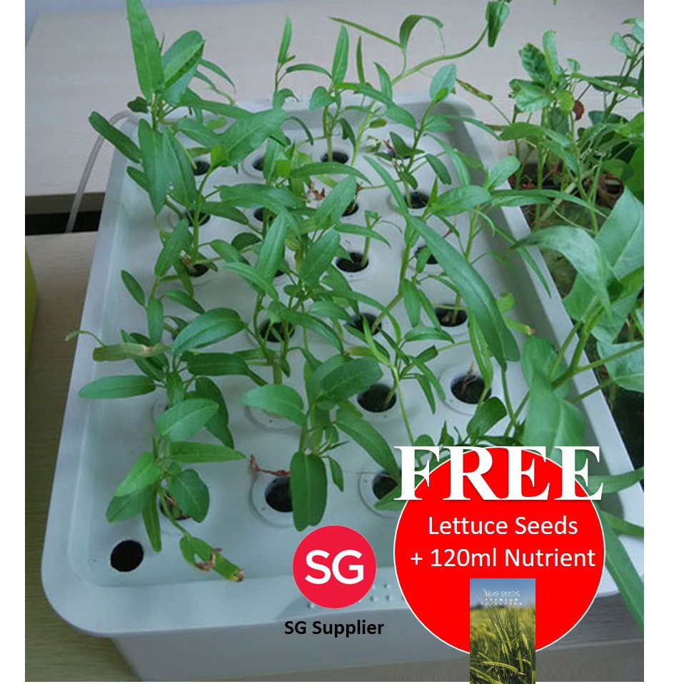 READY STOCK] 11/24 Hole Hydroponics Gardening Kit c/w Complimentary seeds &  fertilizers | Shopee Singapore