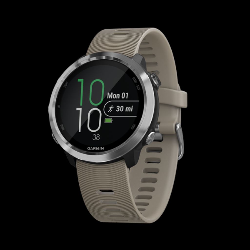 forerunner 645 sandstone