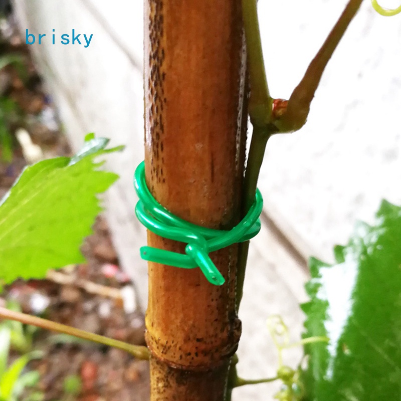 Plant Support Wire, 15m * 2.0mm Soft Heavy Duty Plant Twist Ties, AllPurpose Green Coated