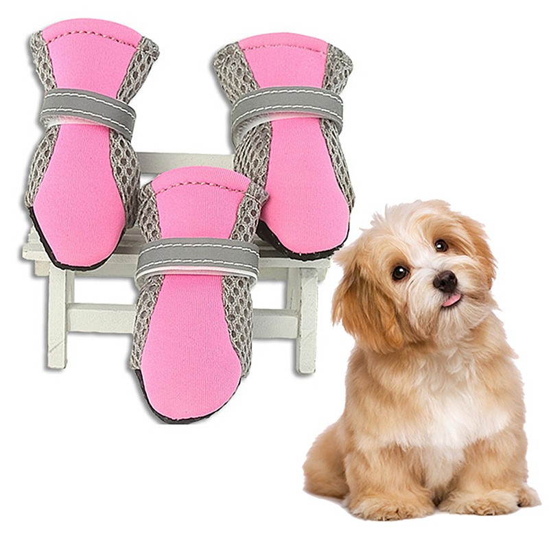 dog shoes shopee