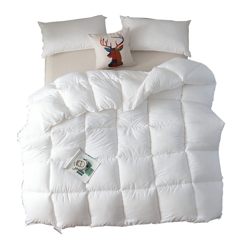 Quilt Comforter For Winter Autumn Duvet Insert Blanket Filling