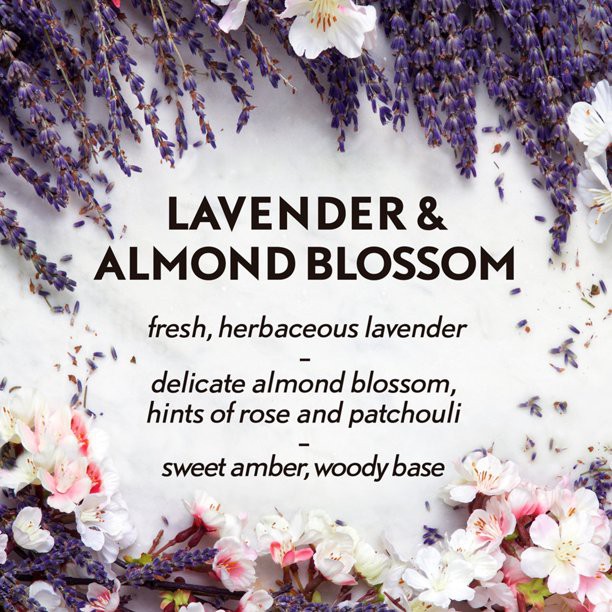 (New Model) Air Wick Essential Mist Starter Kit (Lavender Almond / Orange Mint)