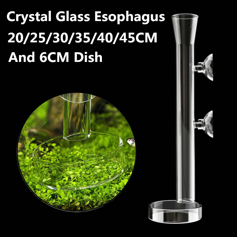 Glass Aquarium Shrimp Feeder Tube Dish Shrimp Fish Snail Food Feeding