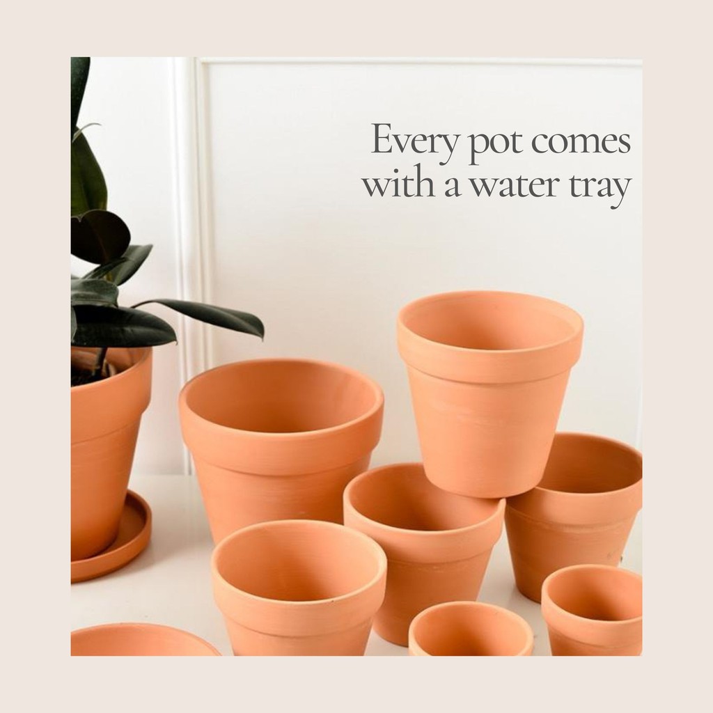 [LOCAL SELLER] Bundle Set Terracotta Pot Clay Pottery Planter Cactus Flower  Pots Succulent Nursery Pots 18cm 18cm 18cm