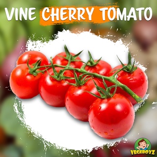 Netherlands Cherry Tomatoes On Vine 荷兰樱桃番茄 Shopee Singapore