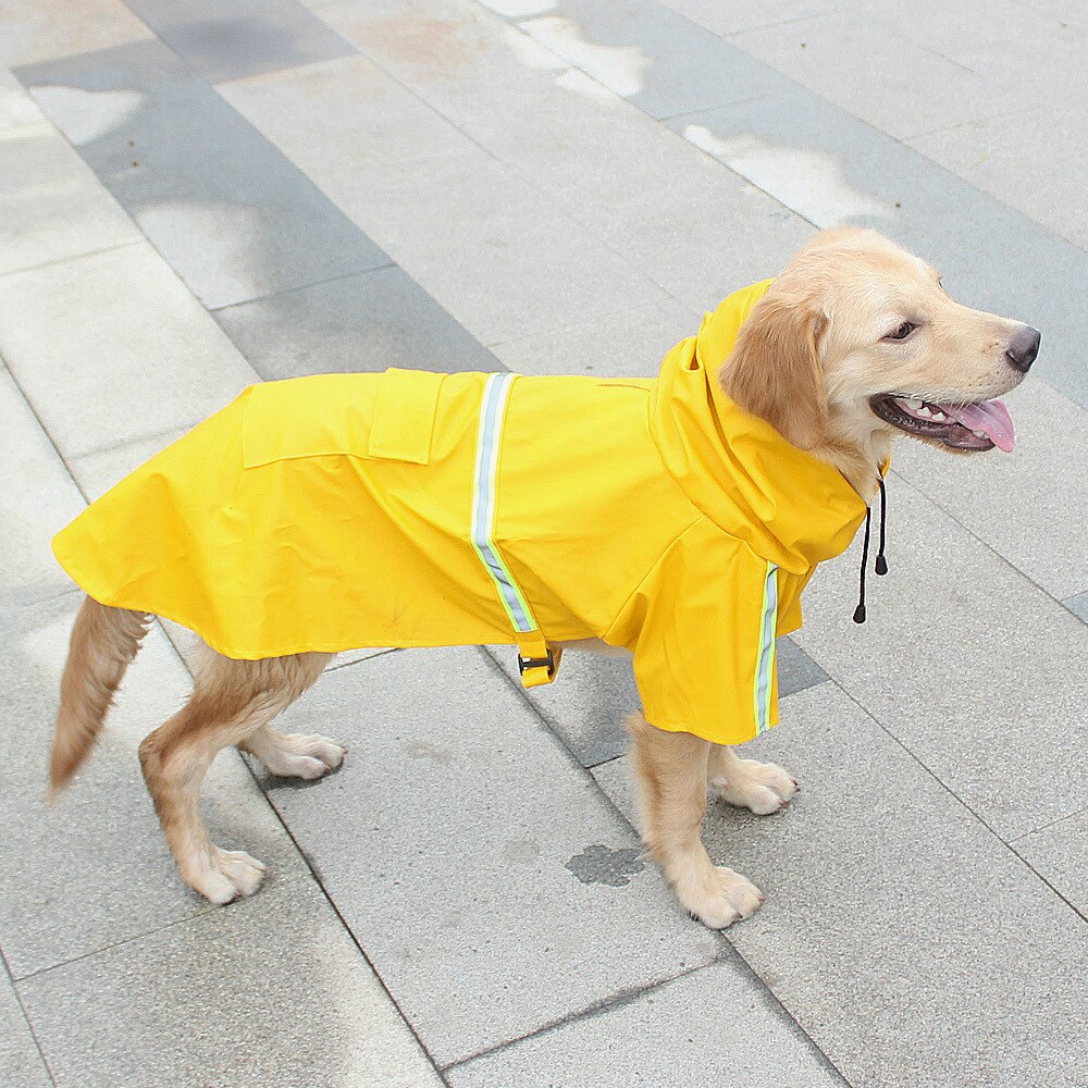 raincoat for labrador retriever