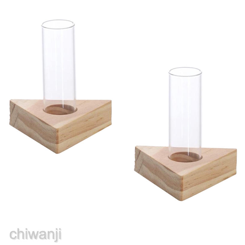 2pcs Planter Test Tube Flower Bud Vase Tabletop Glass Pots in Wooden Stand