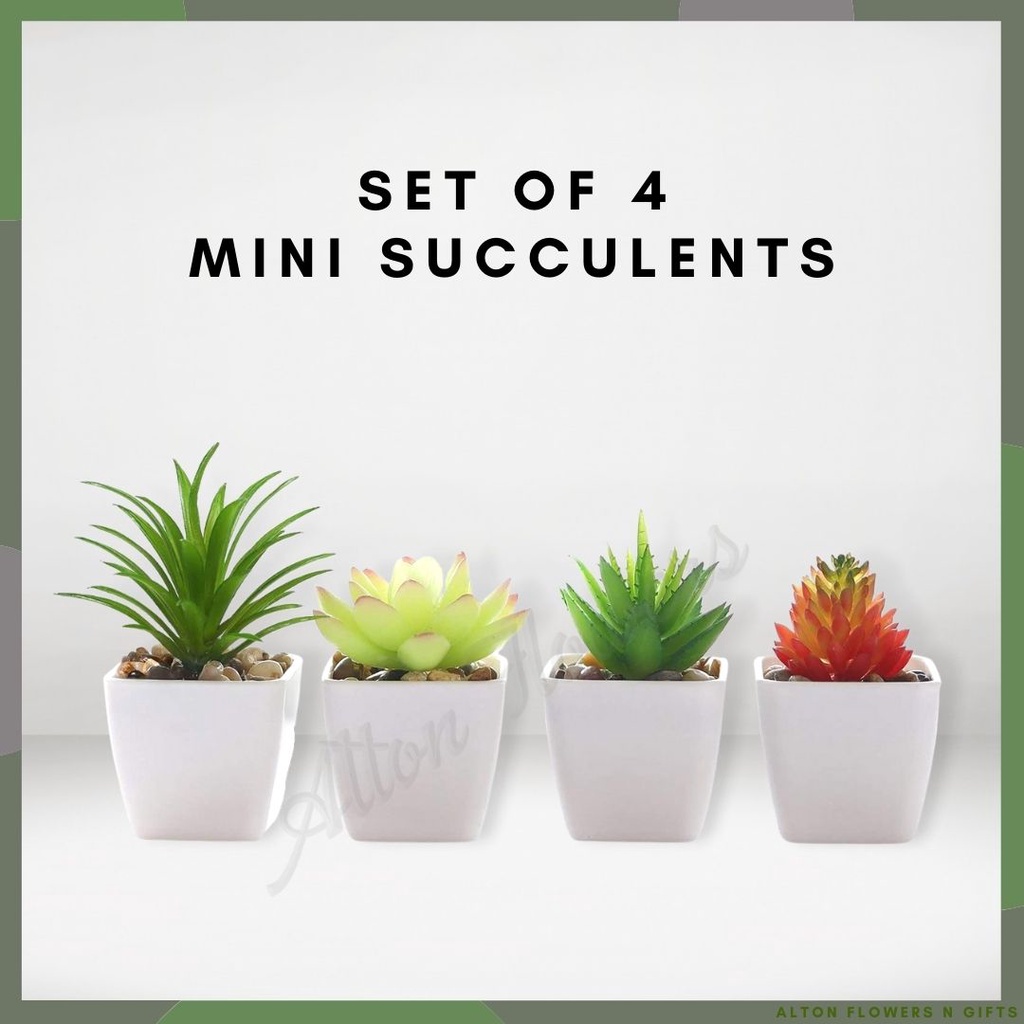 Set of 4 Artificial Succulent Succulents Plants Potted in Cube-Shape White Ceramic Pots