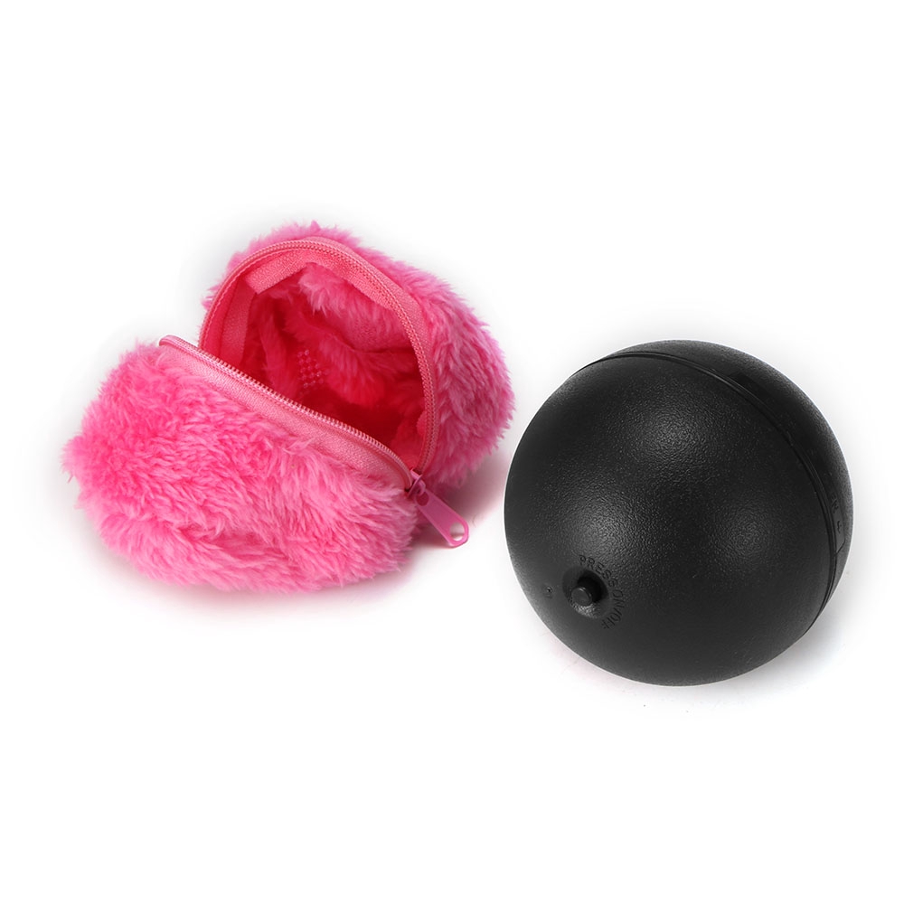 magic ball dog toy