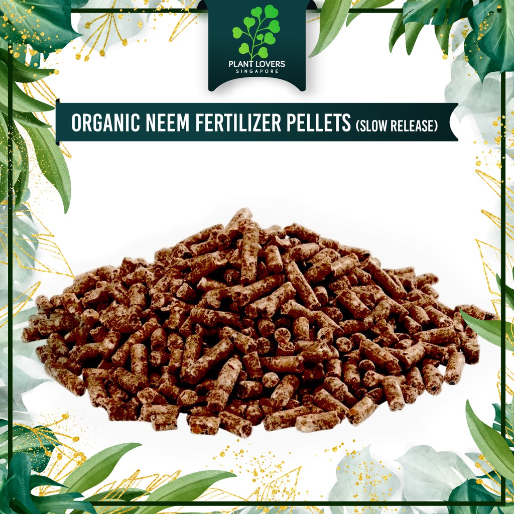 WonderTree Organics Neem Organic Plant Fertilizer, 3-1-1, 4 Lbs Omri Listed Garden Fertilizer Lawn Fertilizer