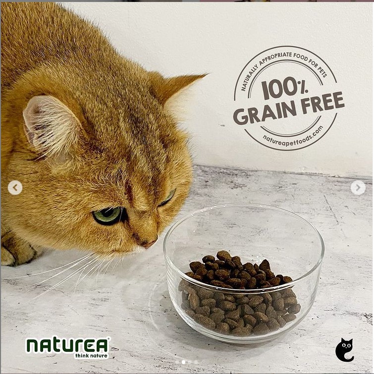 Naturea Grain Free Cats And Kittens Dry Food Salmon 2kg 7kg Shopee Singapore