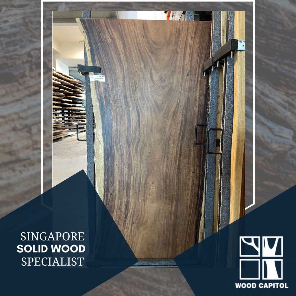 Wood Capitol Suar Wood Singapore Shopee Singapore