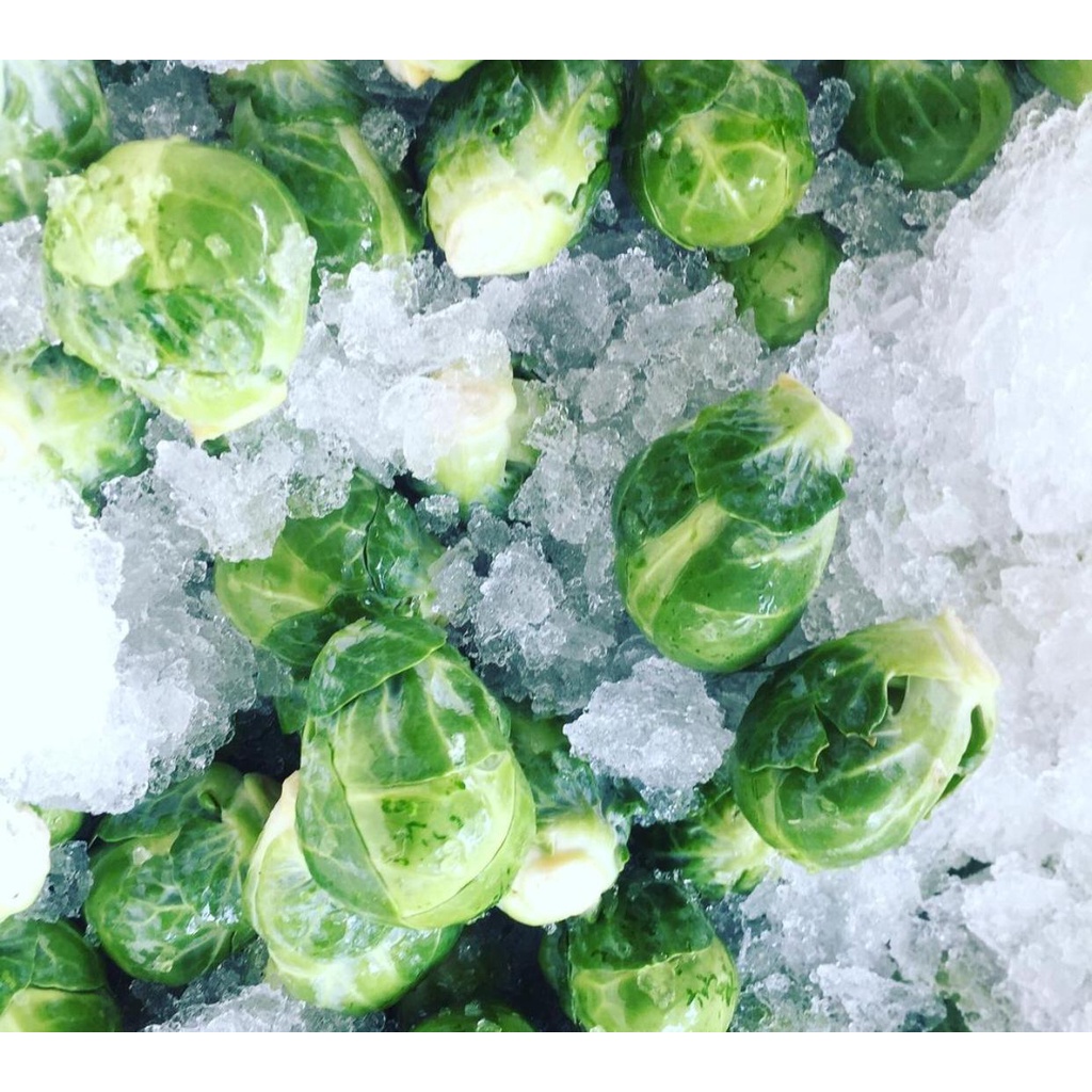 SALADROOM.SG BRUSSEL SPROUTS 10KG Shopee Singapore