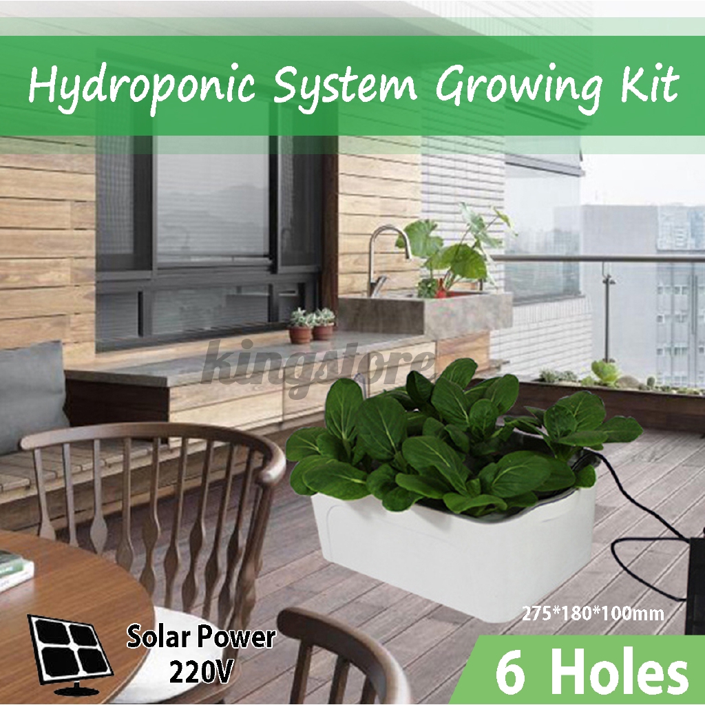 Solar Deep Water Culture Hydroponic System Bubble Tub Air Pump Plant Grow  Kit | Shopee Singapore