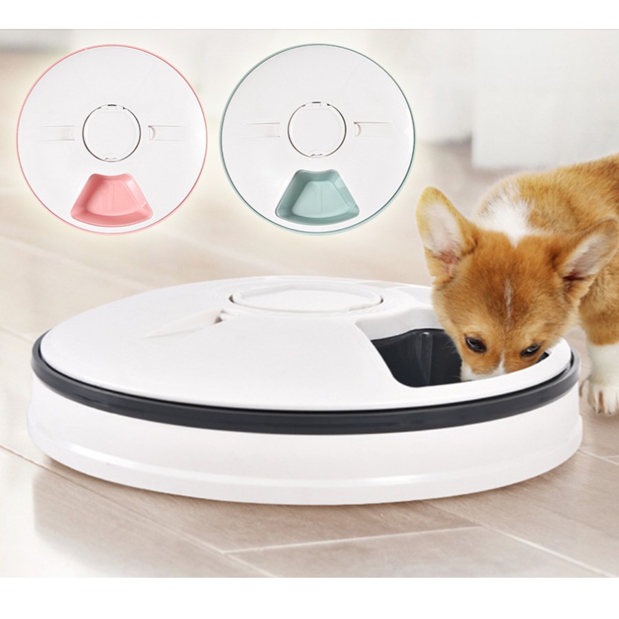wet food automatic feeder