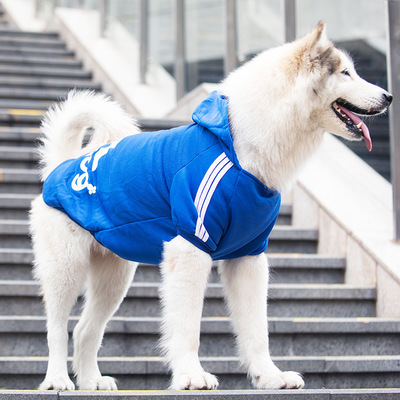 adidog dog tracksuit