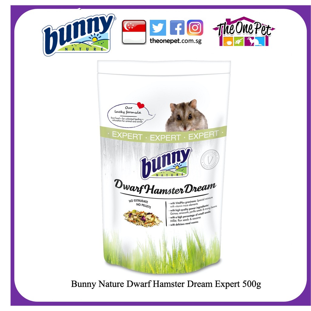 bunny nature hamster dream