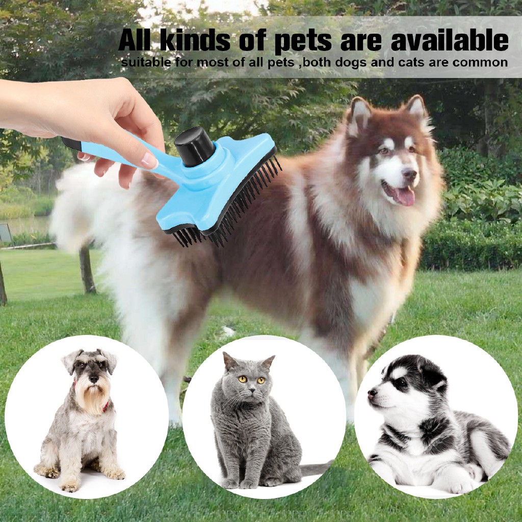 pet brushes deshedding tools