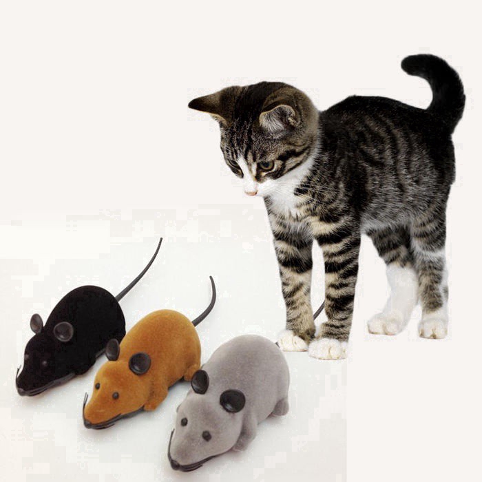 rc mouse for cats