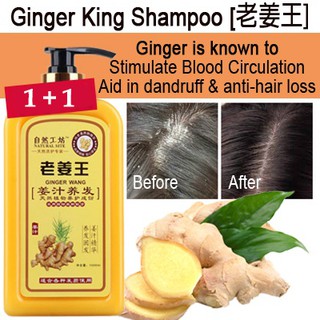Paul Mitchell Awapuhi Wild Ginger Mirrorsmooth Shampoo High Gloss Primer Shopee Singapore