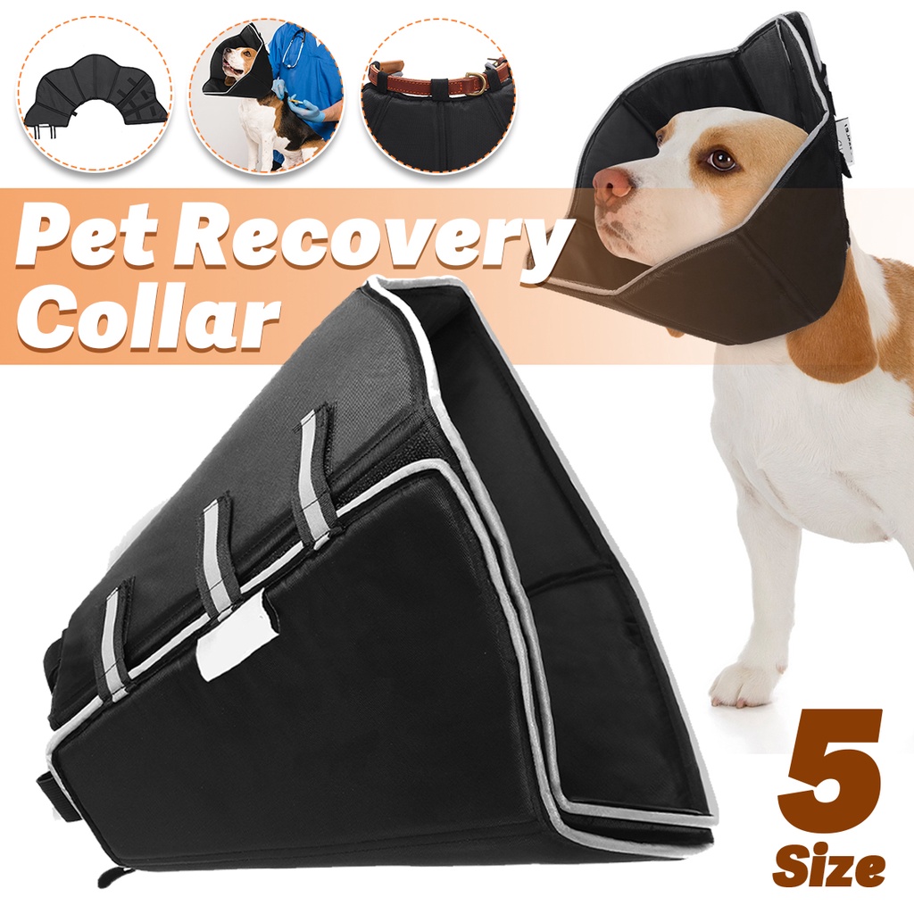 Adjustable Waterproof Dog/Cat Cone Collar Pet Soft Recovery Collar  Protective Collar for Cats Dogs Wound Healing Anti Bite | Shopee Singapore