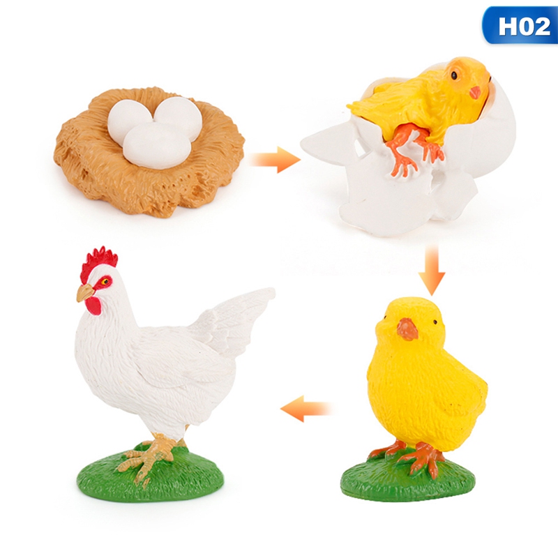 Animals Growth Cycle Model Simulation Rooster Ant Mosquito Frog Turtle Action Figures Baby Educational Kids Toy Shopee Singapore