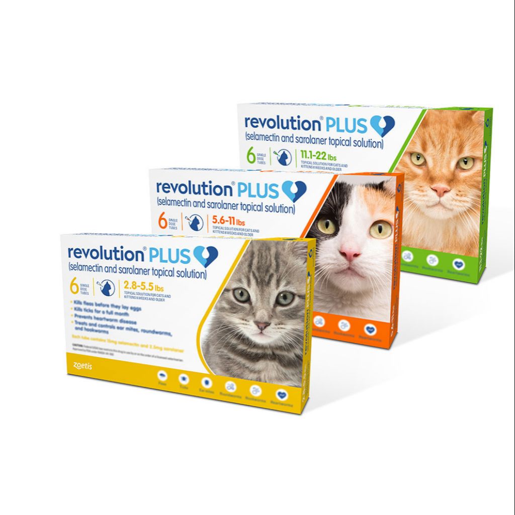 revolution-plus-for-cats-6-pack