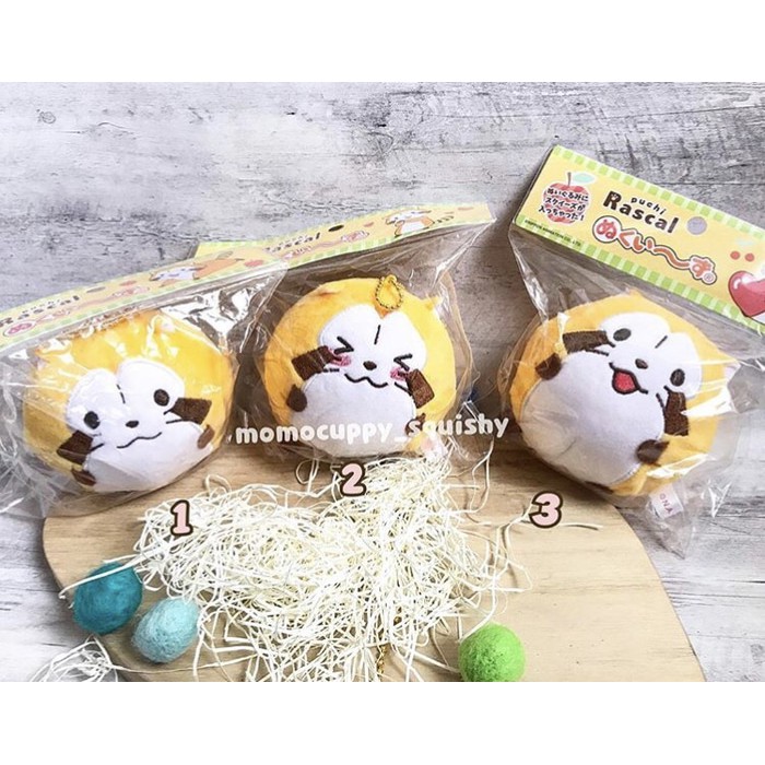 puchi rascal plush