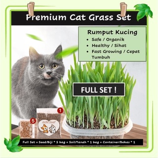 Cat Grass Vitamin Minerals and Fibers Wheat Grass - Biji Benih Rumput Kucing (Improve Mental Stability & Immunes System)
