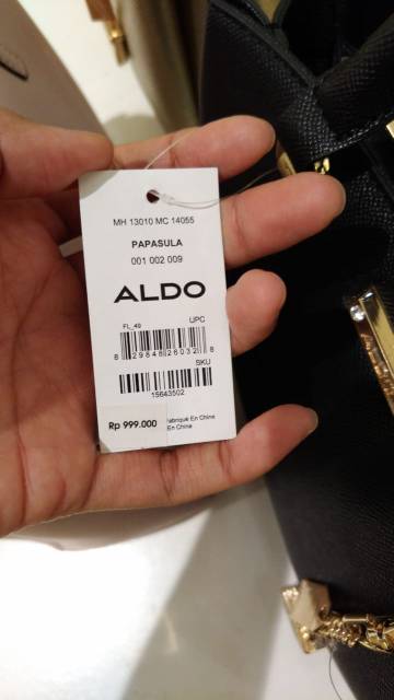 Aldo discount papasula bag