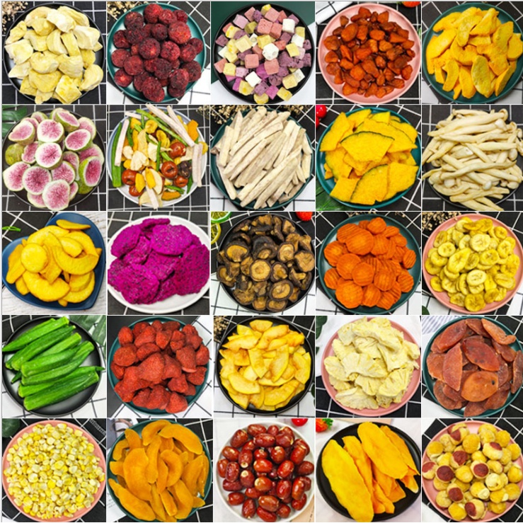 Dried Fruits and Vegetables Instant Crispy Chips Frozen Yogurt Cube