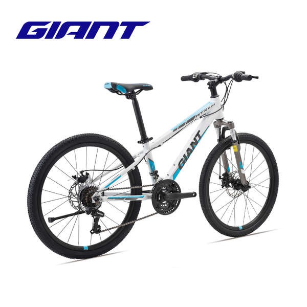 giant 24 inch mountain bike