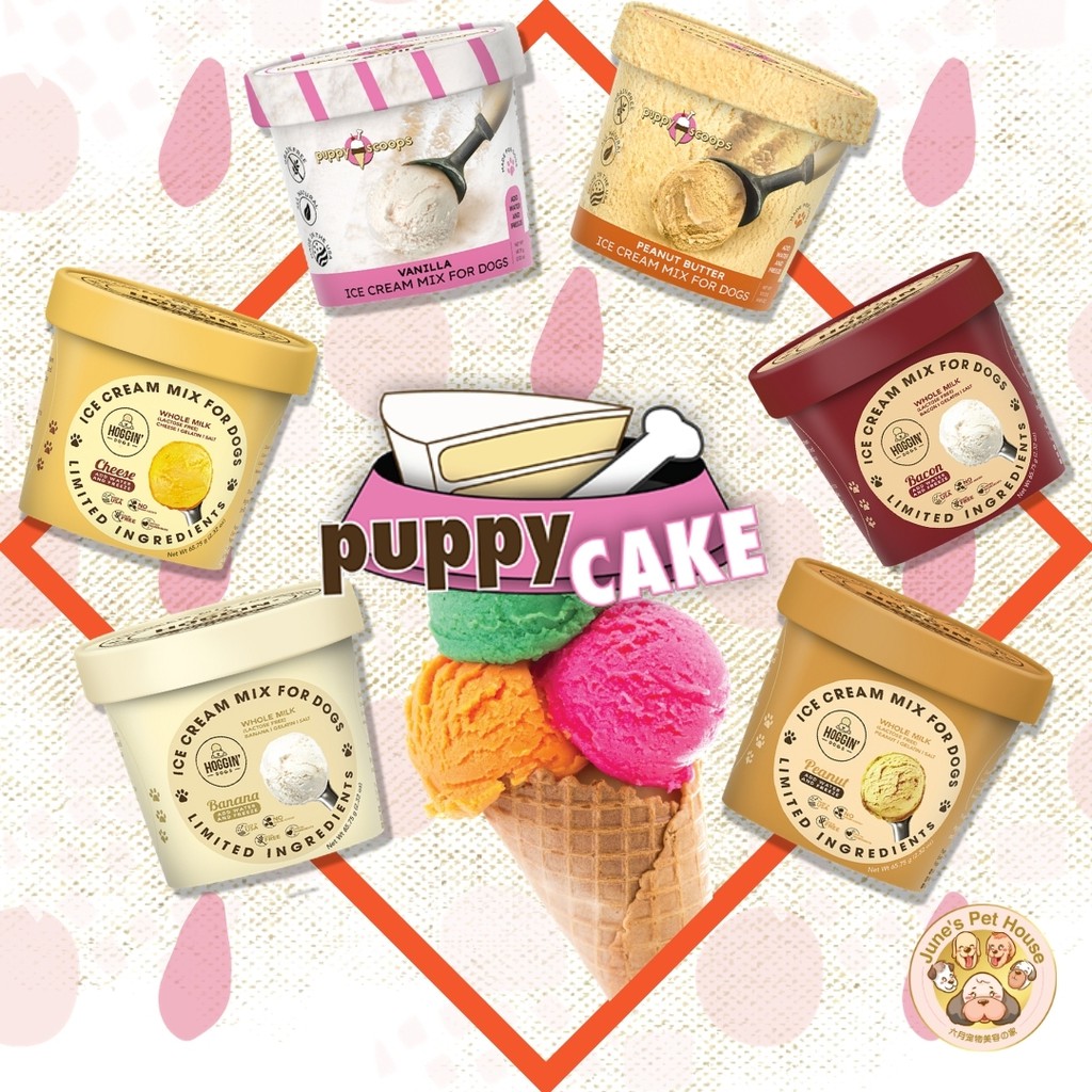 Ice Cream For Dog. Puppy Scoops Size S Shopee Singapore