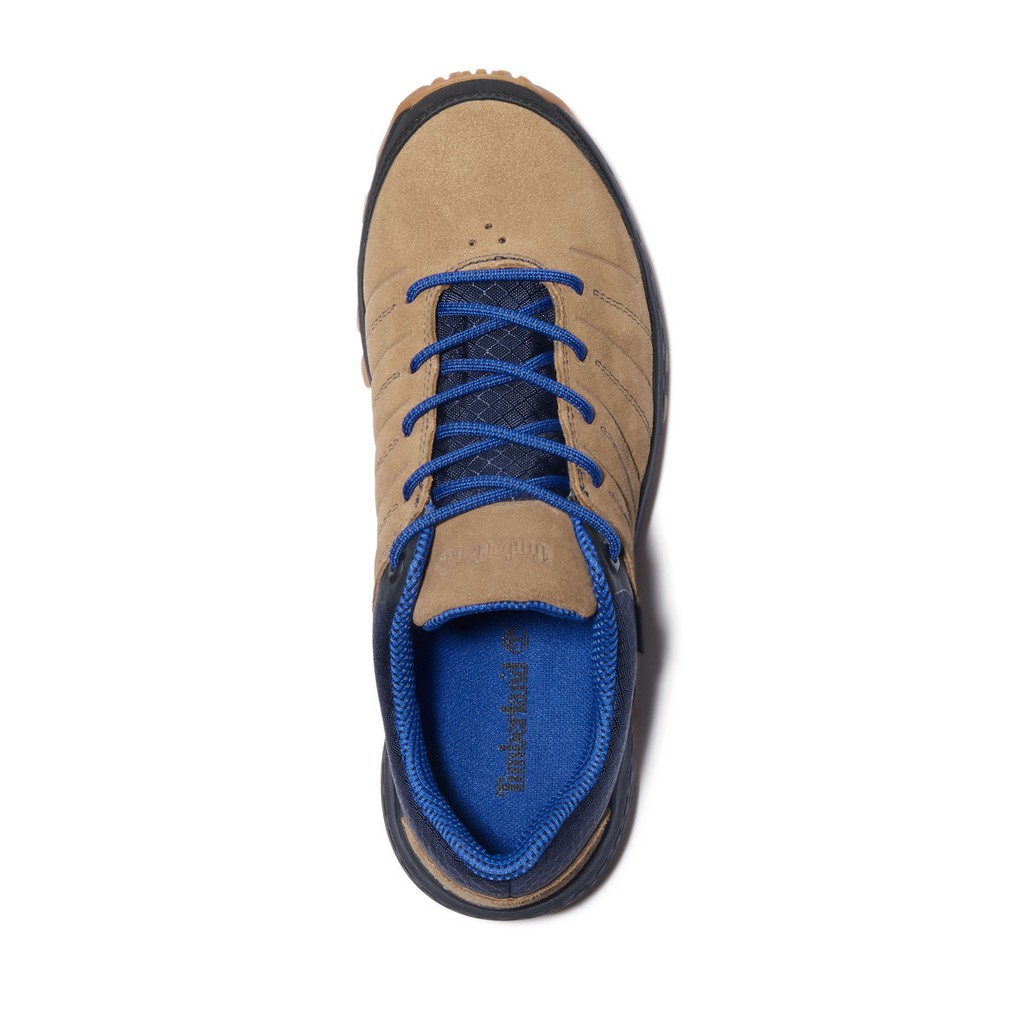 parker ridge low gtx
