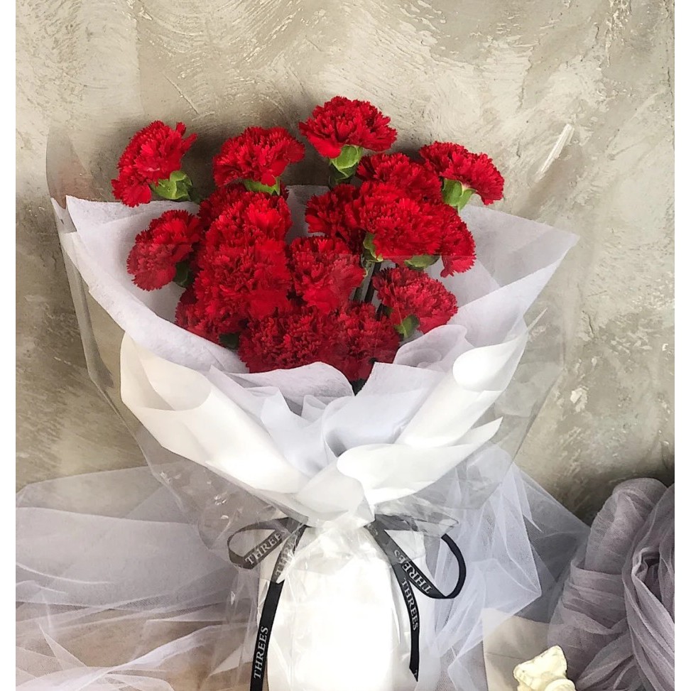 Fresh Carnation Flower Bouquet Mother S Day Flower Bouquet Shopee Singapore