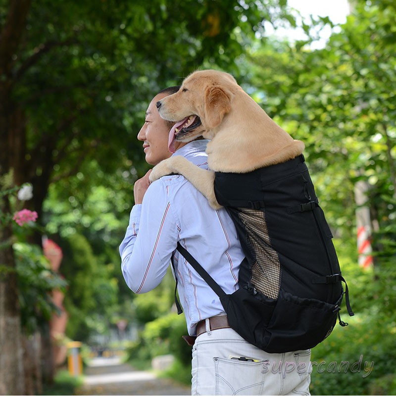 NICREW Legs Out Front Dog Carrier Hands-Free Adjustable Pet Backpack Carrier Wide Straps Shoulder Pads 