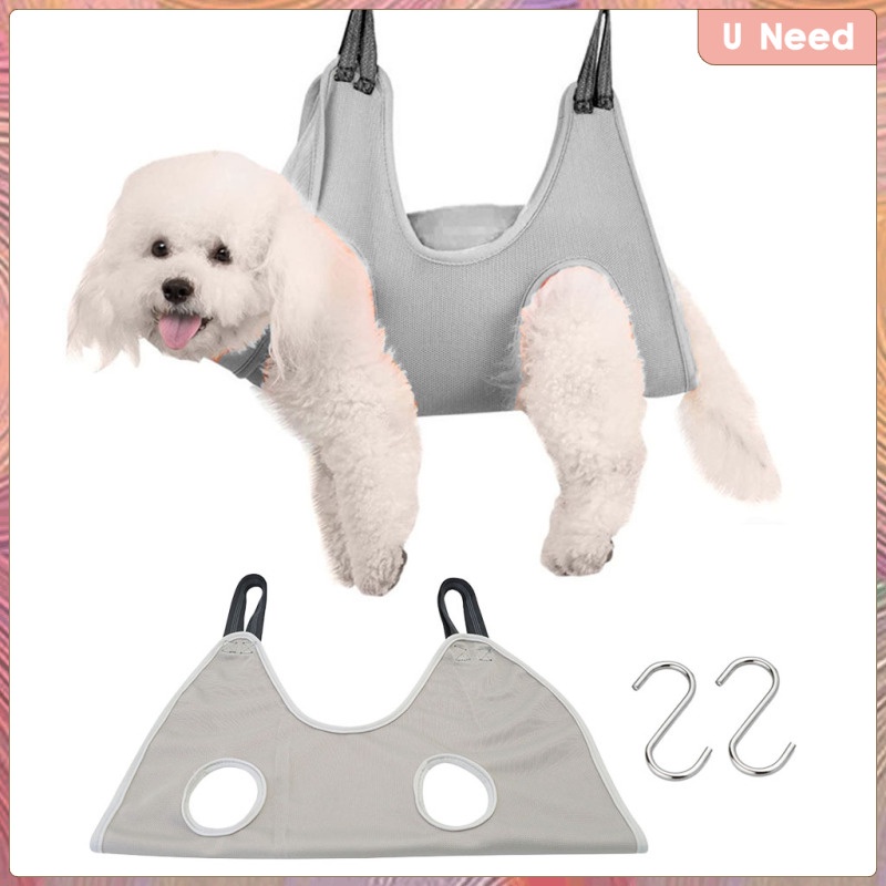 How To Keep Your Dogs Ears Dry When Bathing