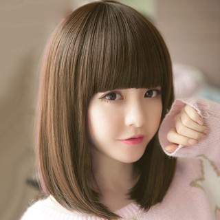 Poni Model