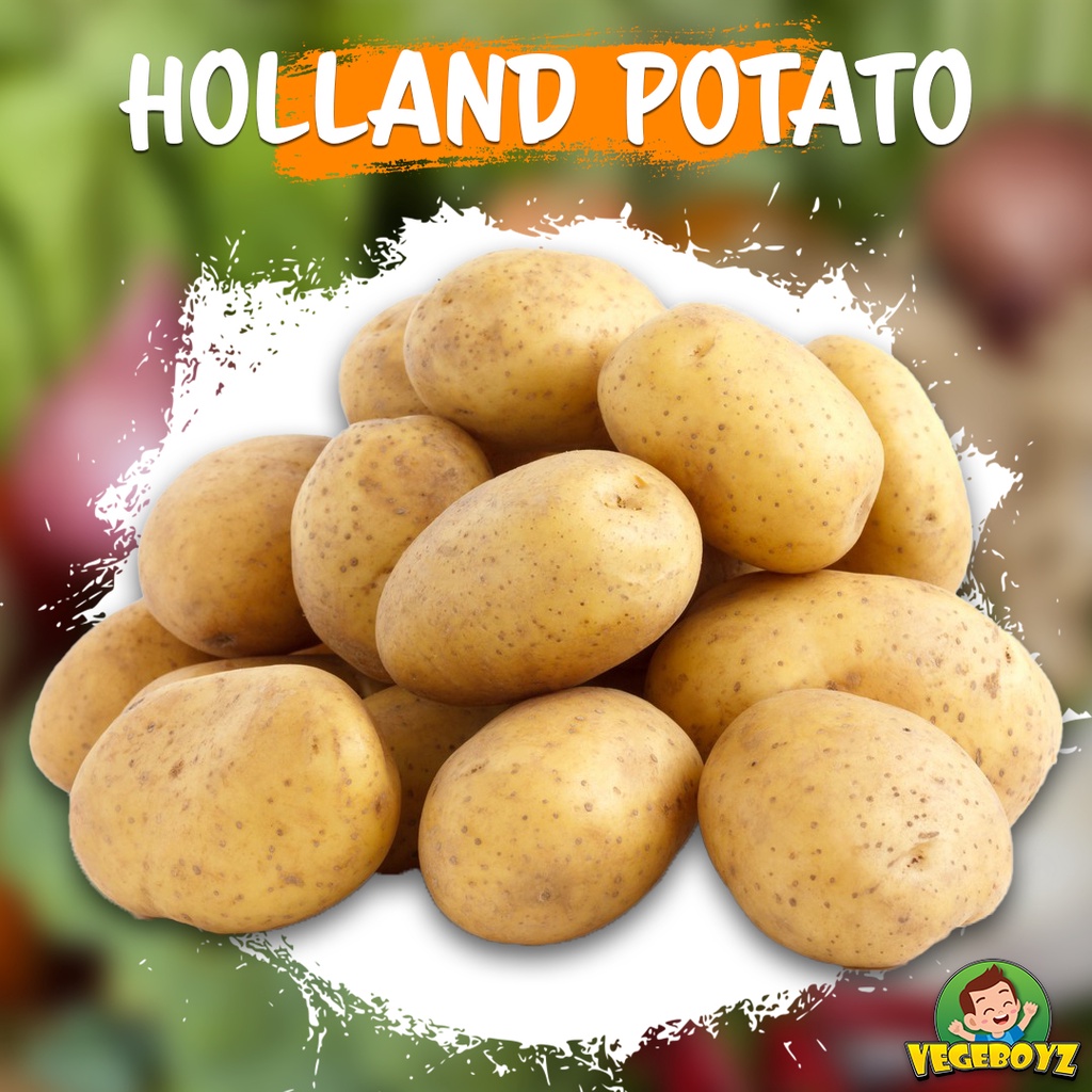 Potato holland Potato products