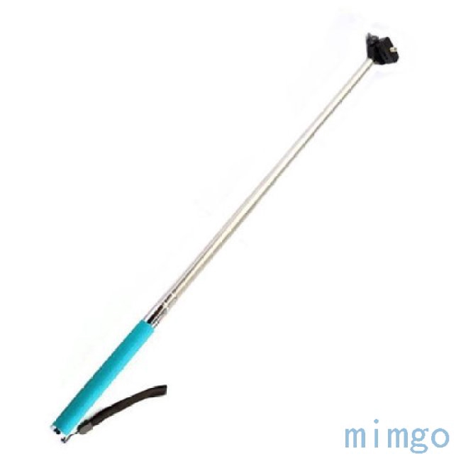 extendable ski pole