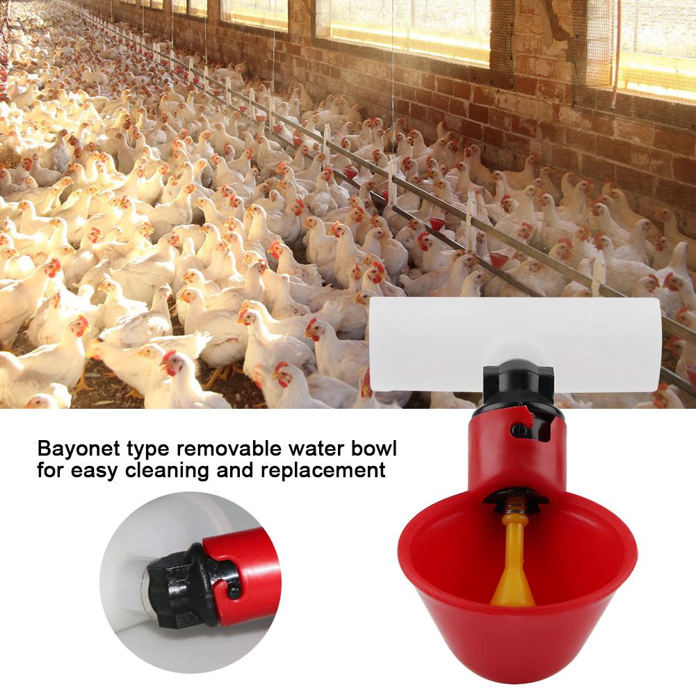 Poultry Water Drinking Cup Tube Plastic Automatic Drinker Chicken