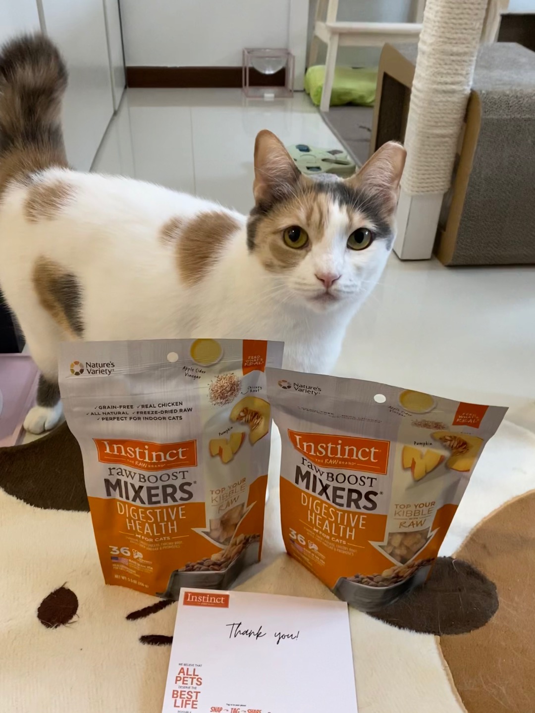 Instinct Freeze Dried Raw Boost Mixers Grain Free Digestive Health Recipe Cat Food Topper Shopee Singapore