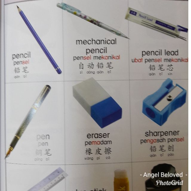 My First Picture Dictionary For Bahasa Malaysia With Suku Kata English Chinese Shopee Singapore