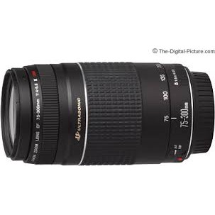 Canon Ef 75 300 Mm F 4 5 6 Iii Telephoto Zoom Lens For Canon Slr Cameras Shopee Singapore