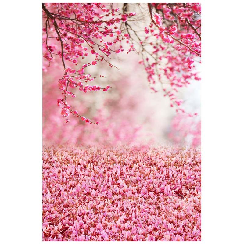 34++ Background Gambar Warna Pink Koleksi Rial