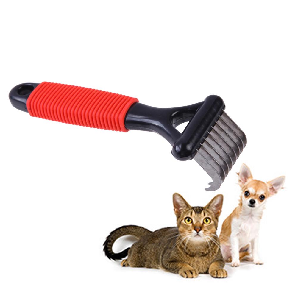 cat grooming for fleas